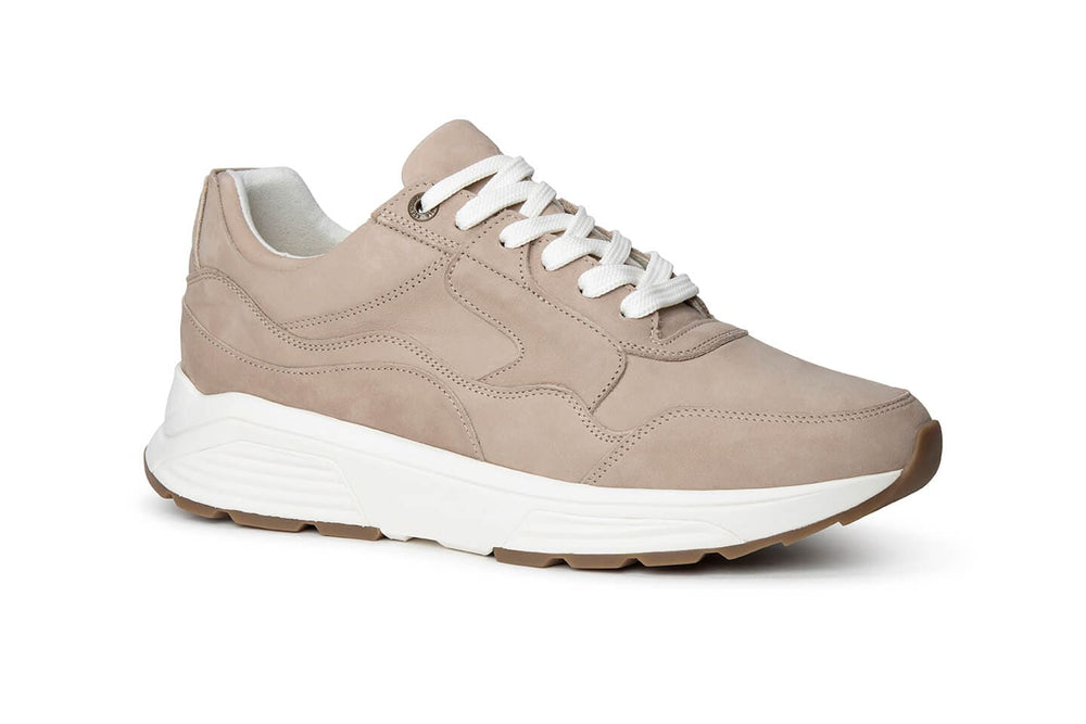 Stretchwalker Golden Gate Men Taupe
