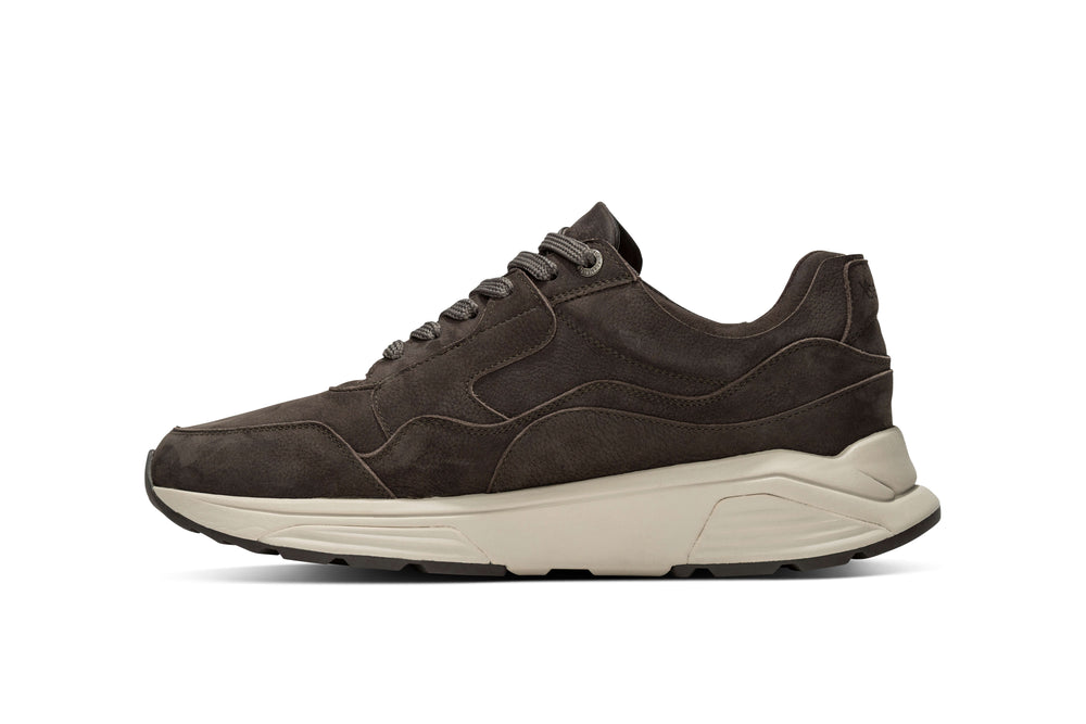 Stretchwalker Golden Gate Men Carbon